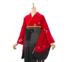 赤地　花の丸柄の卒業式袴フルセット(赤系)|卒業袴(普通サイズ)