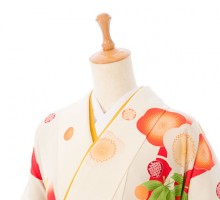 振袖袴|163〜168㎝|玉城ティナ|卒業式袴フルセット(白系)|卒業袴(普通サイズ)