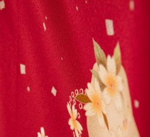 赤地|切箔に桜柄の卒業式袴フルセット(エンジ系)|卒業袴(普通サイズ)