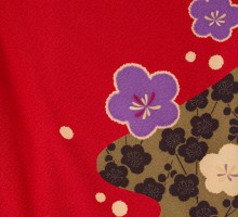 卒業式|赤地|梅の花柄の卒業式袴フルセット(赤系)|卒業袴(普通サイズ)