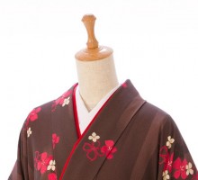 縦ライン小梅柄の卒業式袴フルセット(茶系)|卒業袴(普通サイズ)