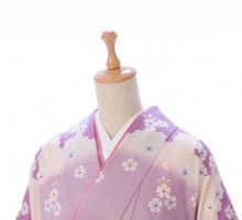 先生用|紫ぼかしに桜柄の卒業式袴フルセット(紫系)|卒業袴(普通サイズ)