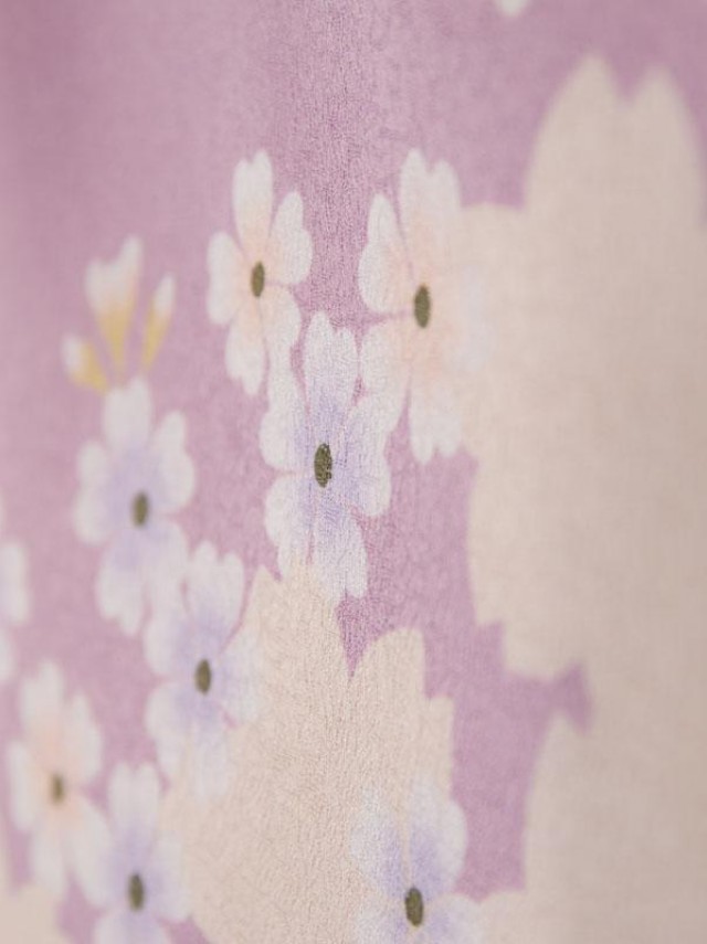 先生用|紫ぼかしに桜柄の卒業式袴フルセット(紫系)|卒業袴(普通サイズ)