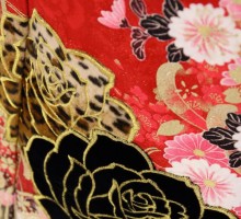黒ベルベット　ヒョウ柄のバラ　蝶柄の振袖フルセット(赤系)|普通サイズ【1月】