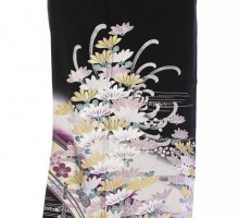 Mサイズ　菊に桜柄の黒留袖フルセット(黒)|黒留袖