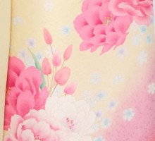 大牡丹柄の振袖フルセット(白　ピンク系)|普通サイズ【2〜12月】