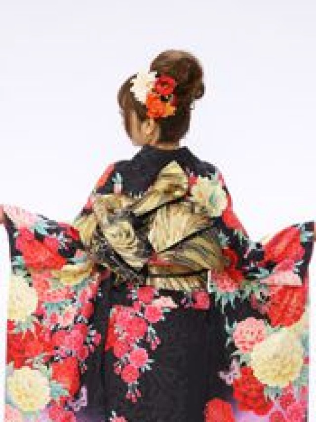 牡丹　八重桜　蝶柄の振袖フルセット(黒　茶系)|普通サイズ【2〜12月】