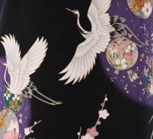 Mサイズ　飛翔鶴　花丸紋柄の留袖フルセット|(黒留袖)　