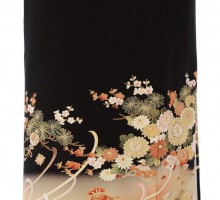 Mサイズ　鶴に乱菊柄の黒留袖フルセット(黒)|黒留袖