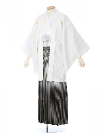 白紋付×白/銀/黒縞ぼかし袴柄の紋付袴フルセット(白系)|成人式　卒業式紋付袴
