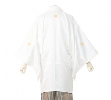 男性用袴 E-SV03-6-1 白紋付|ゴールド縞袴