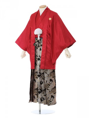 赤紋付×金銀龍雲袴柄の紋付袴フルセット(赤系)|成人式　卒業式紋付袴