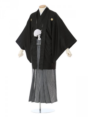 黒紋付白/黒縞袴柄の紋付袴フルセット(黒系)|成人式　卒業式紋付袴