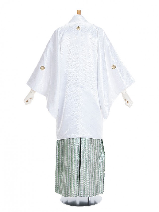 男性用袴 SV69-6-3 白菱形(大)| 緑銀縦縞袴