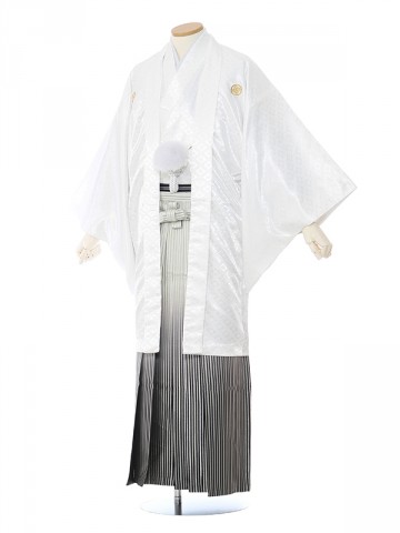 男性用袴 SV69-7-2 白菱形(大)|銀縞袴