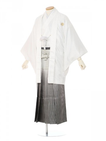 男性用袴 SV71-5-3 白菱形|銀ぼかし縞袴