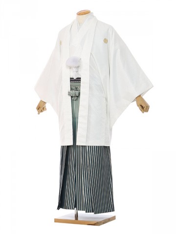 男性用袴 SV71-7-4 白菱形|緑ぼかし縞袴