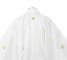 男性用袴 SV71-7-4 白菱形|緑ぼかし縞袴