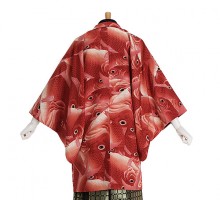 男性用袴 SV98 L赤鯉柄羽織|黒|黒金梅鉢袴