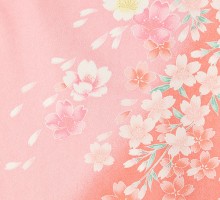 桜文様の卒業式袴フルセット(ピンク系)|卒業袴(普通サイズ)