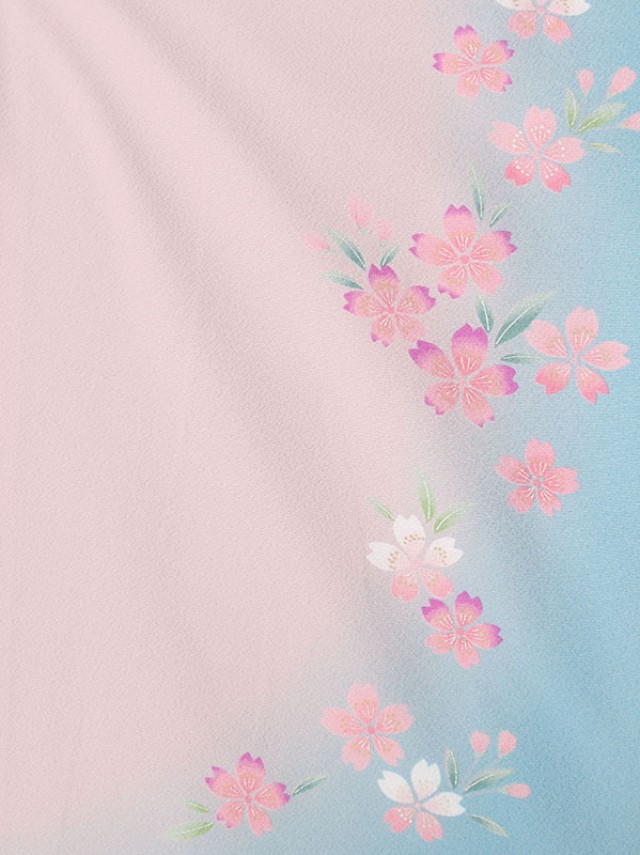 袖水色ぼかし桜柄の卒業式袴フルセット(紫系)|卒業袴(普通サイズ)