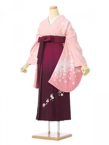 ペールピンクに小桜柄の卒業式袴フルセット(ピンク系)|卒業袴(普通サイズ)