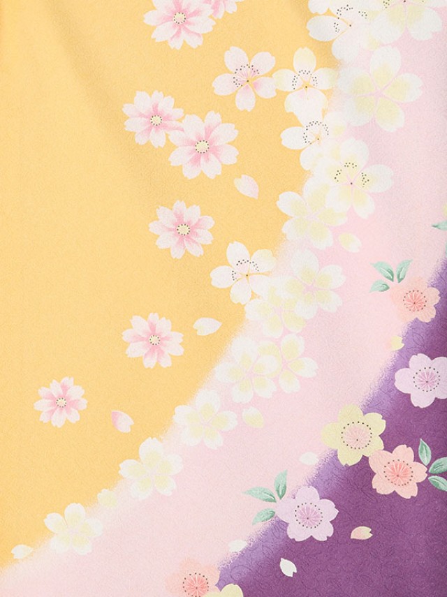 袖ピンク紫ぼかし桜文様柄の卒業式袴フルセット(黄色系)|卒業袴(普通サイズ)