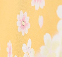 袖ピンク紫ぼかし桜文様柄の卒業式袴フルセット(黄色系)|卒業袴(普通サイズ)