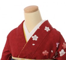 桜地紋桜文様の卒業式袴フルセット(赤系)|卒業袴(普通サイズ)