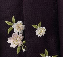深水色桜柄の卒業式袴フルセット(水色系)|卒業袴(普通サイズ)