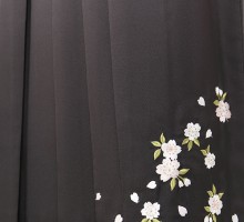先生むけ　袴|枝垂れ桜柄の卒業式袴フルセット(白系)|卒業袴(普通サイズ)