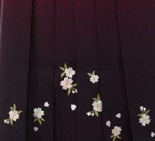 卒業式|袴レンタル|四季花柄の卒業式袴フルセット(ブラック系)|卒業袴(普通サイズ)