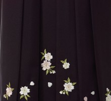 ピンクぼかし桜柄の卒業式袴フルセット(白系)|卒業袴(普通サイズ)