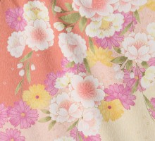 枝垂れ桜柄の卒業式袴フルセット(ピンク系)|卒業袴(普通サイズ)