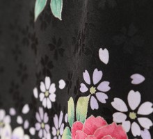 薔薇と小桜文様柄の卒業式袴フルセット(黒系)|卒業袴(普通サイズ)
