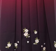 153〜158|レンタル袴|卒業式袴フルセット(イエロー系)||卒業袴(普通サイズ)