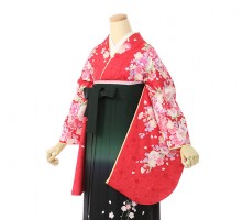 菊と桜柄の卒業式袴フルセット(赤系)|卒業袴(普通サイズ)