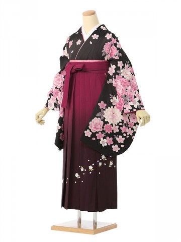 押切もえブランドピンク菊と桜柄の卒業式袴フルセット(黒系)|卒業袴(普通サイズ)