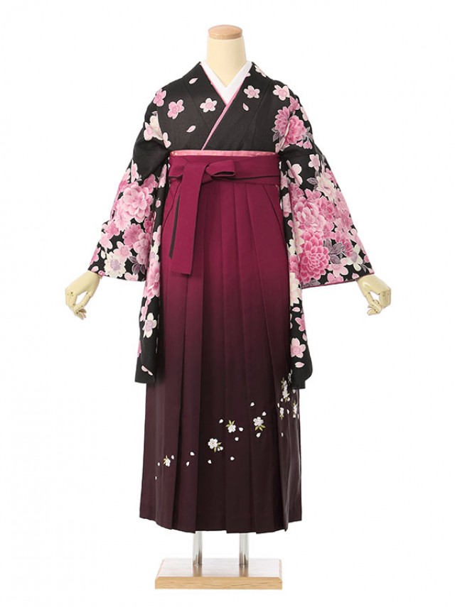ピンク菊と桜柄の卒業式袴セット(黒系)|卒業袴(普通サイズ)