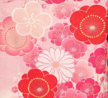 卒業式|ピンク|梅菊柄の卒業式袴フルセット(ピンク系)|卒業袴(普通サイズ)