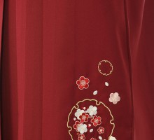 縞に華紋柄の卒業式袴フルセット(水色系)|卒業袴(普通サイズ)