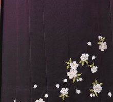 菊華紋柄の卒業式袴フルセット(オレンジ系)|卒業袴(普通サイズ)