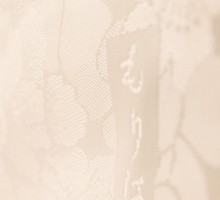 【 白無垢&紋付レンタル】蝶の舞柄の打掛フルセット(白系)