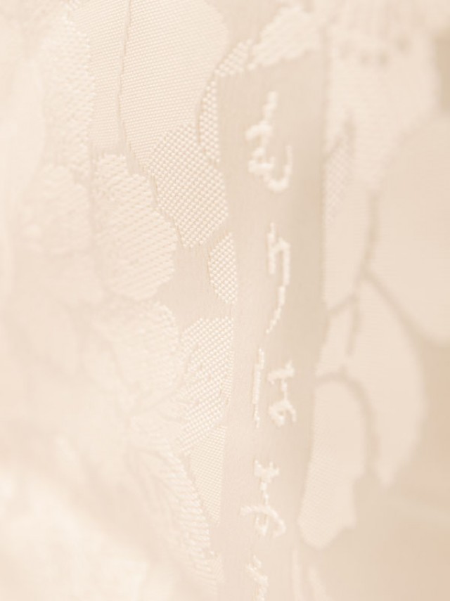 【 白無垢&紋付レンタル】蝶の舞柄の打掛フルセット(白系)