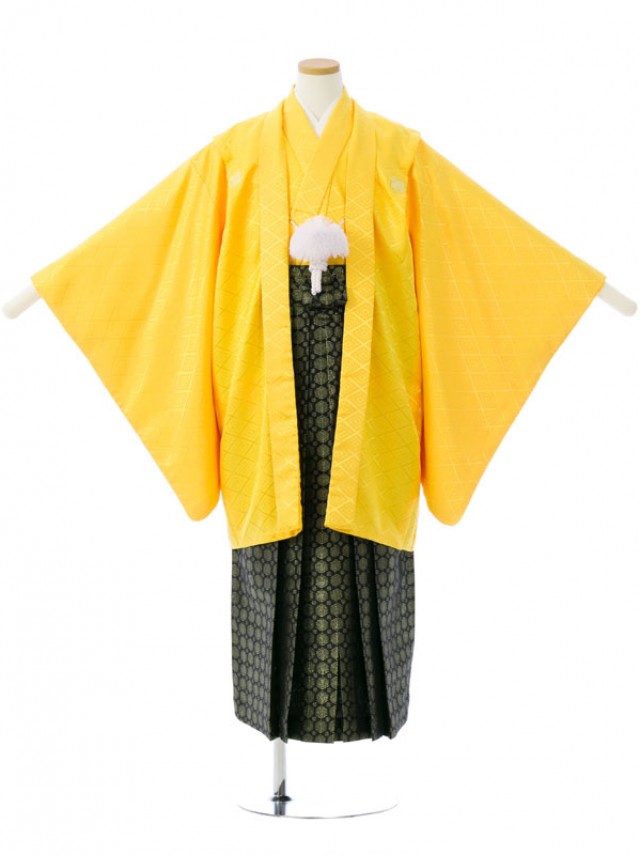 【ジュニア　紋付袴】小学校の卒業式  カラー紋付き袴姿が人気です!