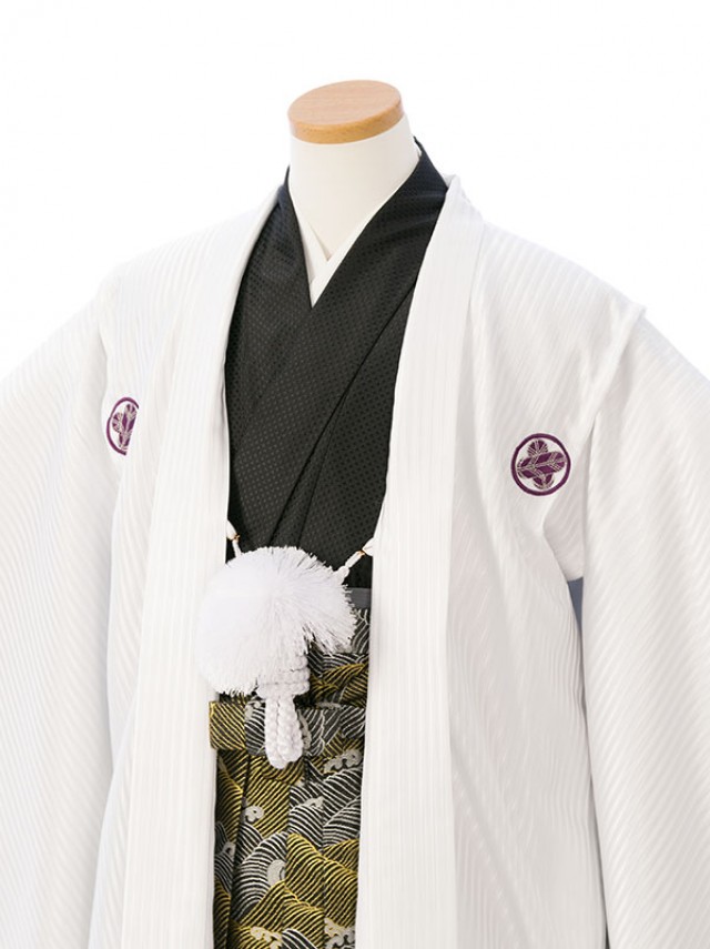 袴レンタル　小学校卒業式　紋付き袴(白系)|男の子(小学生袴)