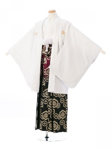 ジュニア紋付き羽織袴　白地　レンタル　小学校　卒業式には袴スタイルでどうぞ!