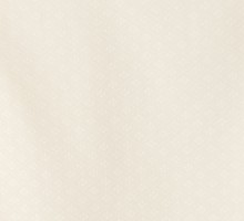 オフ白紋付|袴レンタル|卒業式|小学生|150〜155cm|袴フルセット(白系)|男の子(小学生袴)