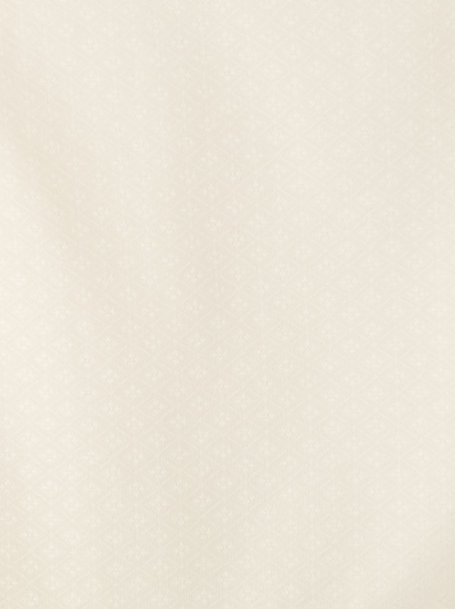 オフ白紋付|袴レンタル|卒業式|小学生|150〜155cm|袴フルセット(白系)|男の子(小学生袴)