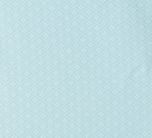 【ジュニア　紋付袴】小学校の卒業式　爽やかな水色　人気カラー紋付き袴姿がカッコイイ!